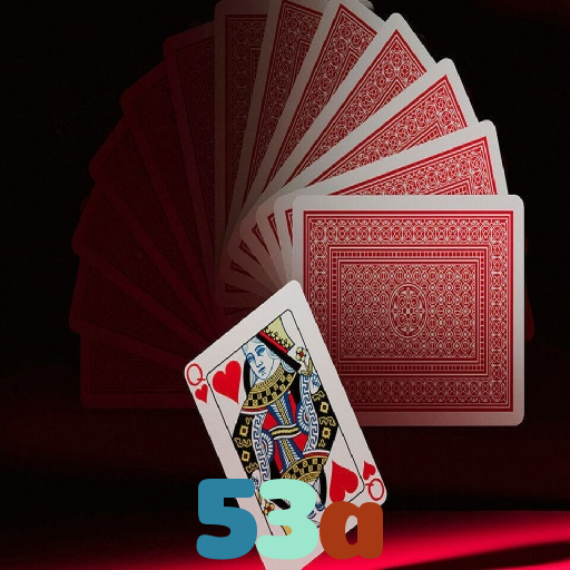 53a