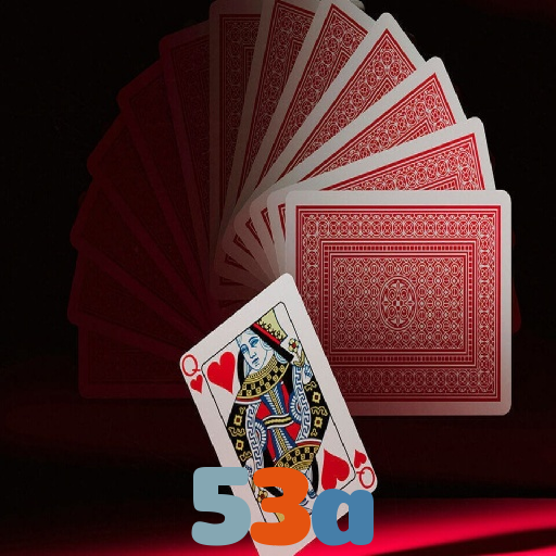 53a