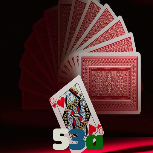 53a